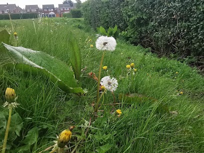 Barleyhill Road Park