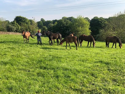 Highbank Farm