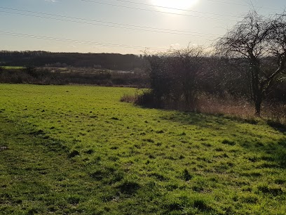 YWT Kippax Meadows Nature Reserve